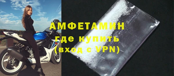 индика Инсар