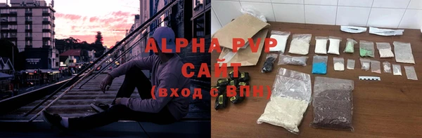 шишки Новосибирск