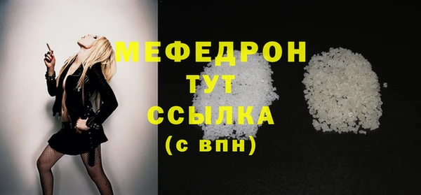 индика Инсар