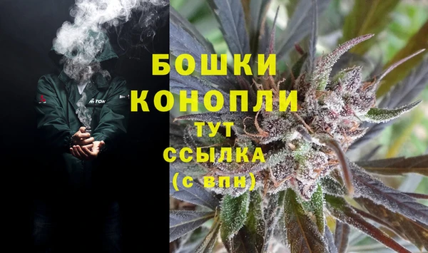 скорость Каменногорск