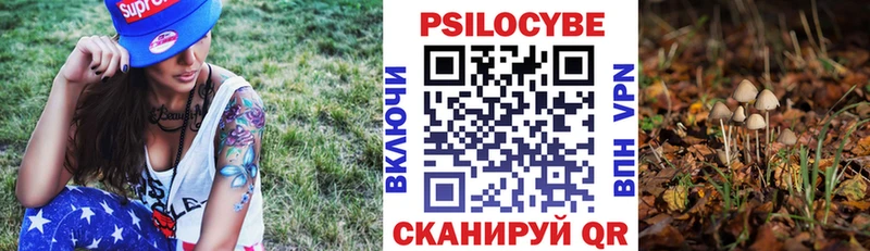 Галлюциногенные грибы Magic Shrooms  как найти наркотики  Краснослободск 